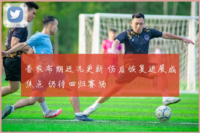 香农布朗近况更新 伤后恢复进展成焦点 仍待回归赛场