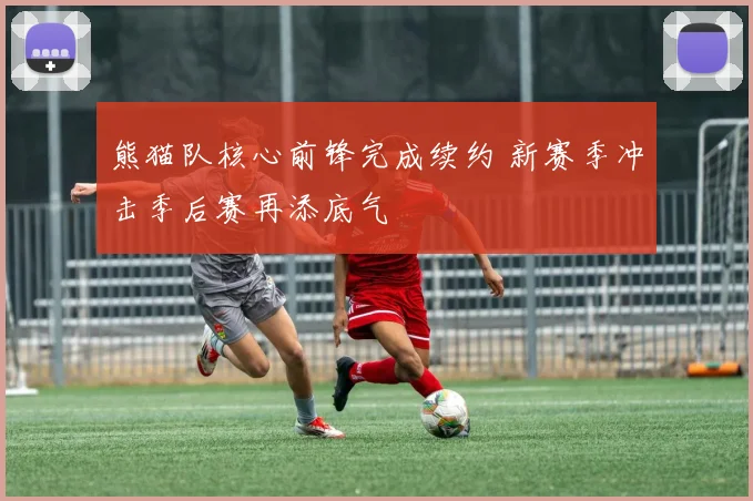 熊猫队核心前锋完成续约 新赛季冲击季后赛再添底气