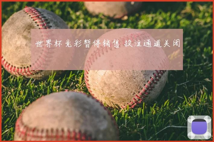 世界杯竞彩暂停销售 投注通道关闭