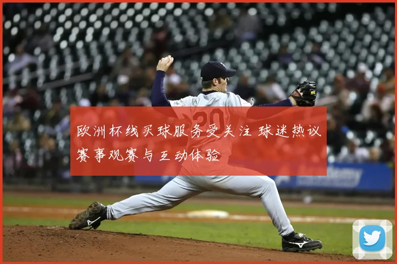 欧洲杯线买球服务受关注 球迷热议赛事观赛与互动体验