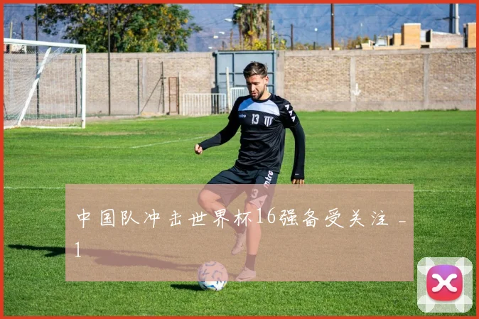 中国队冲击世界杯16强备受关注 _1